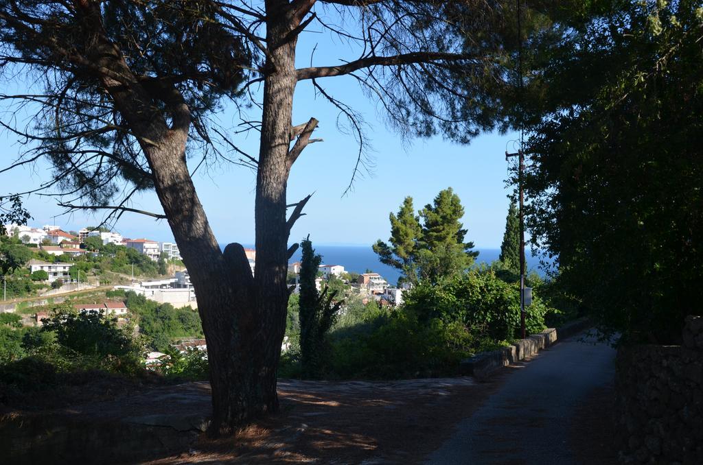 Apartment Dragovic Ulcinj Kültér fotó